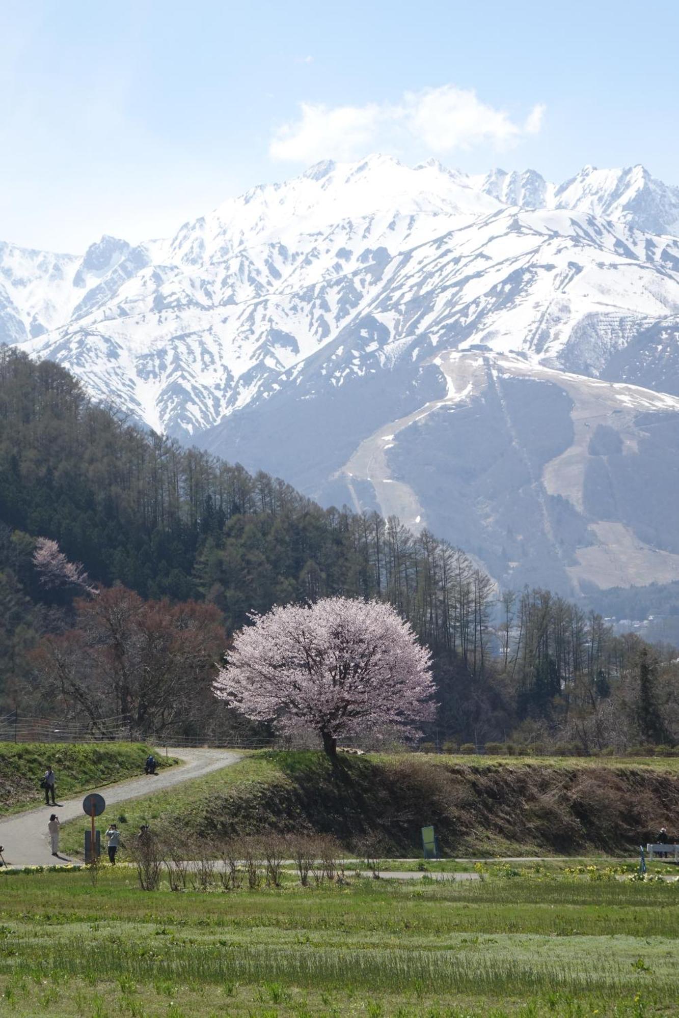 Country Inn Kashiwabara Hakuba Buitenkant foto