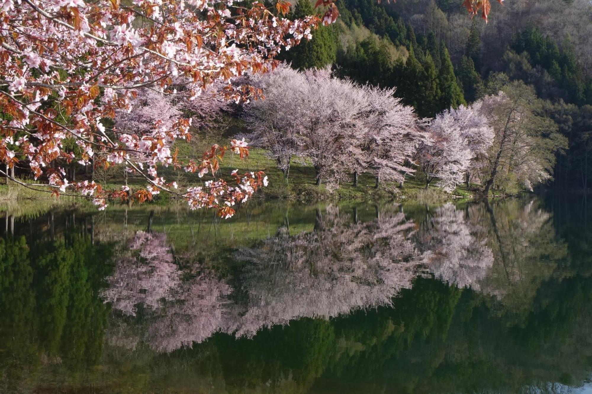 Country Inn Kashiwabara Hakuba Buitenkant foto